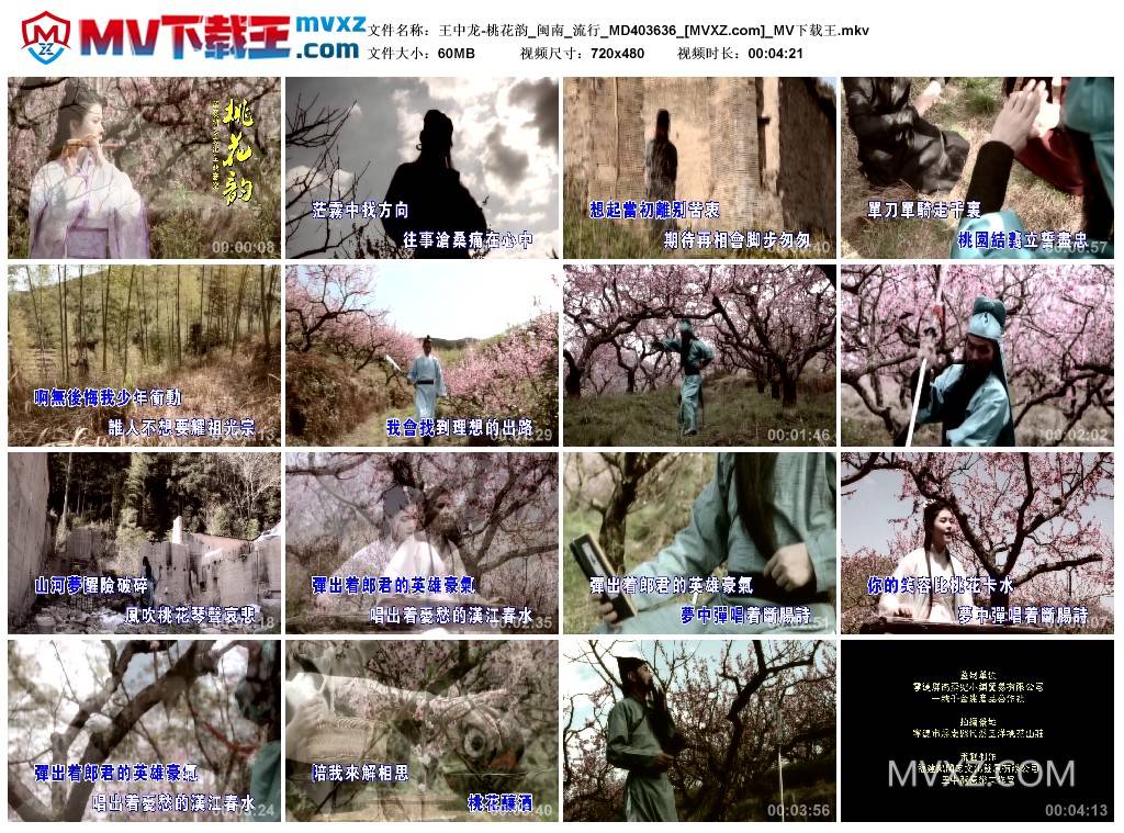 王中龙-桃花韵_闽南_流行_MD403636